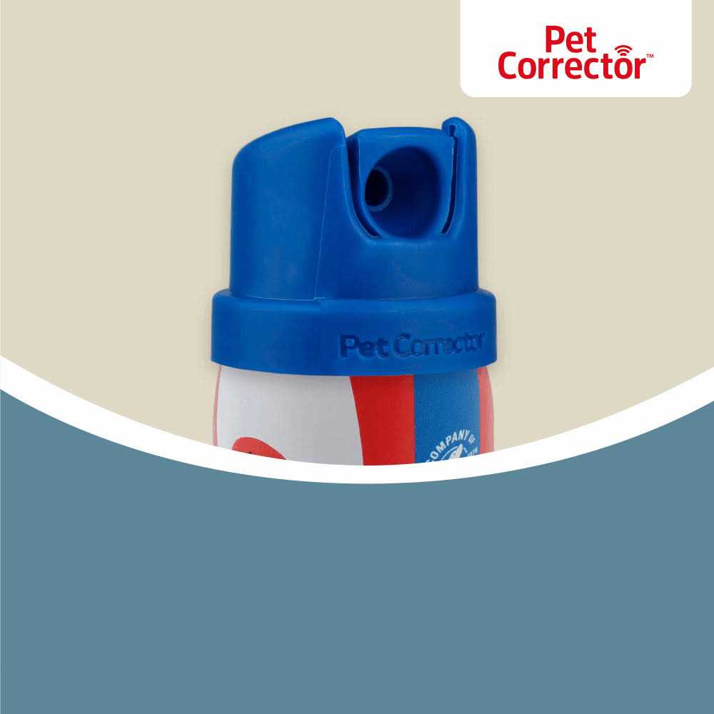 Pet Corrector Spray