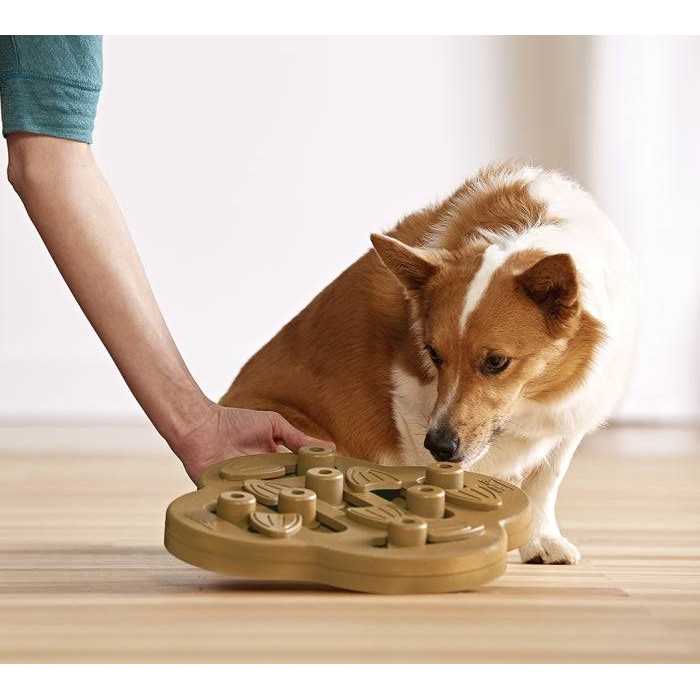 Outward Hound Hide N Slide Puzzle Dog Toy