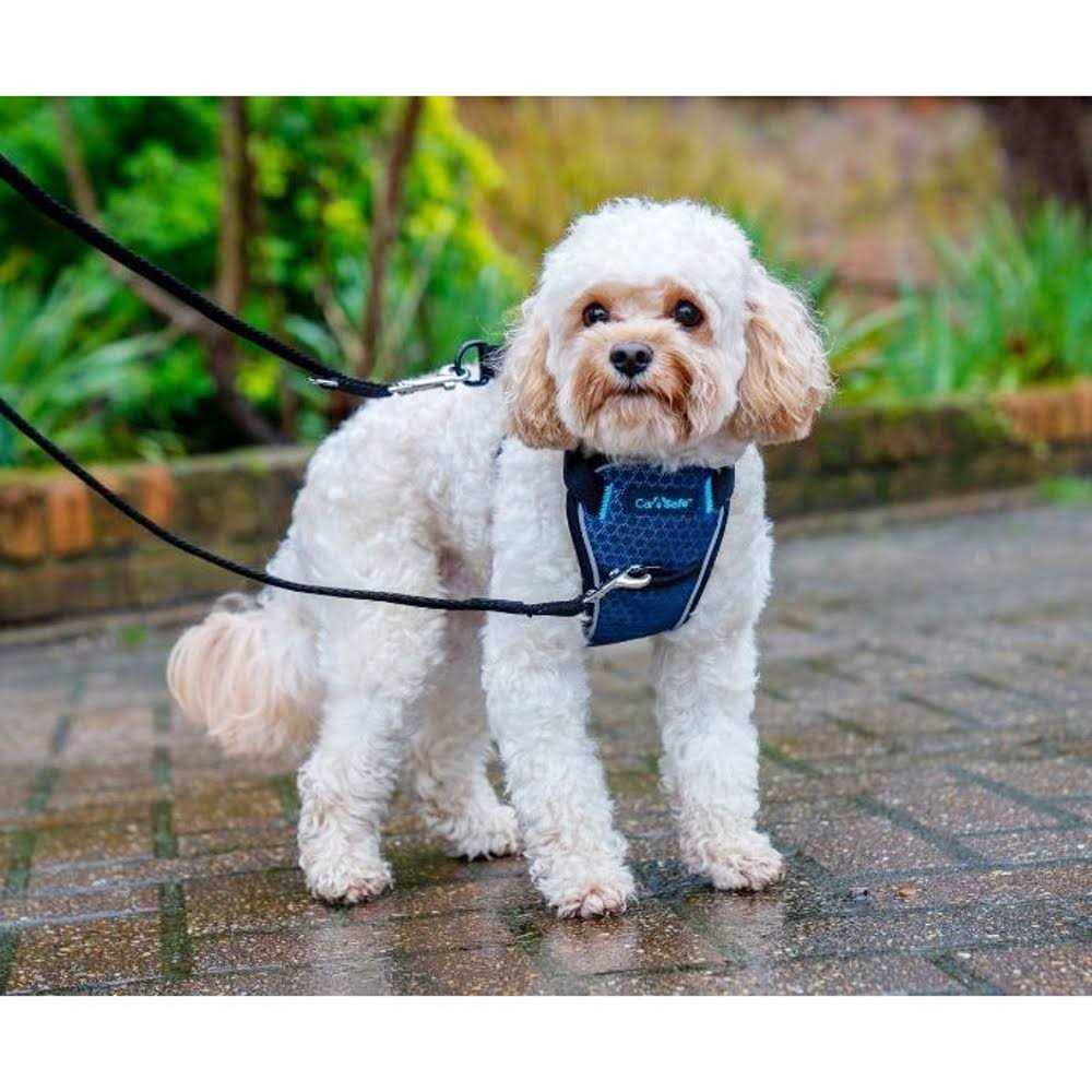 Carsafe Crash Tested Dog Harness