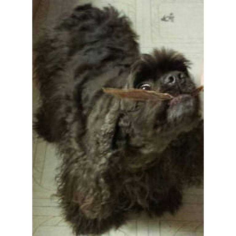 HDP Duck Jerky Strips