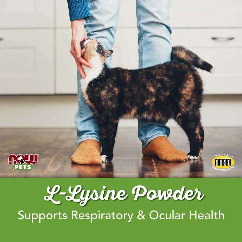 Now Pets L-Lysine Powder for Cats