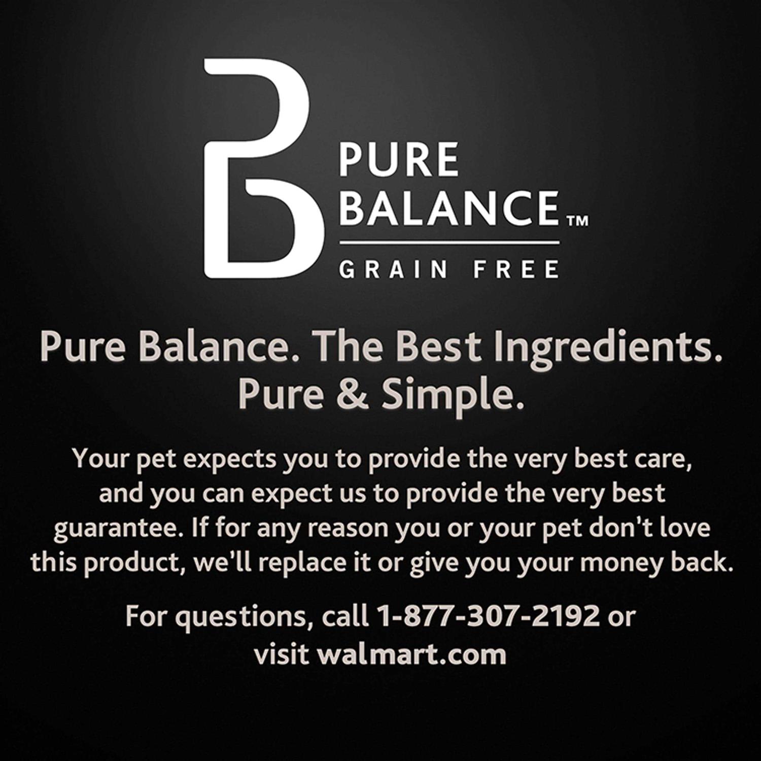 Pure Balance Chicken and Brown Rice Recipe Dry Dog Food