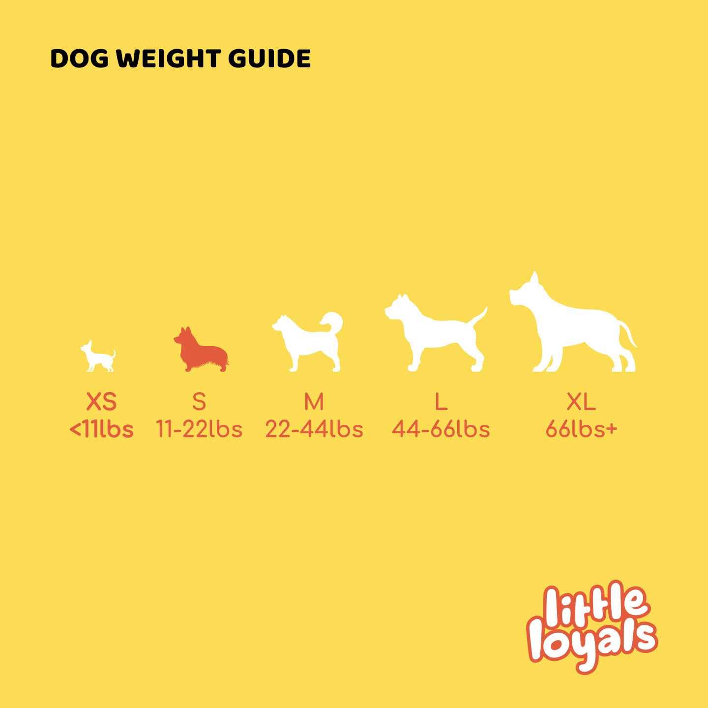 Little Loyals Premium Olive Wood Dog Chew