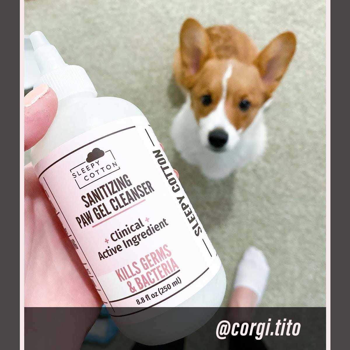 Put An End to Dog Paw Licking with Our Highly Effective Paw Gel Cleanser