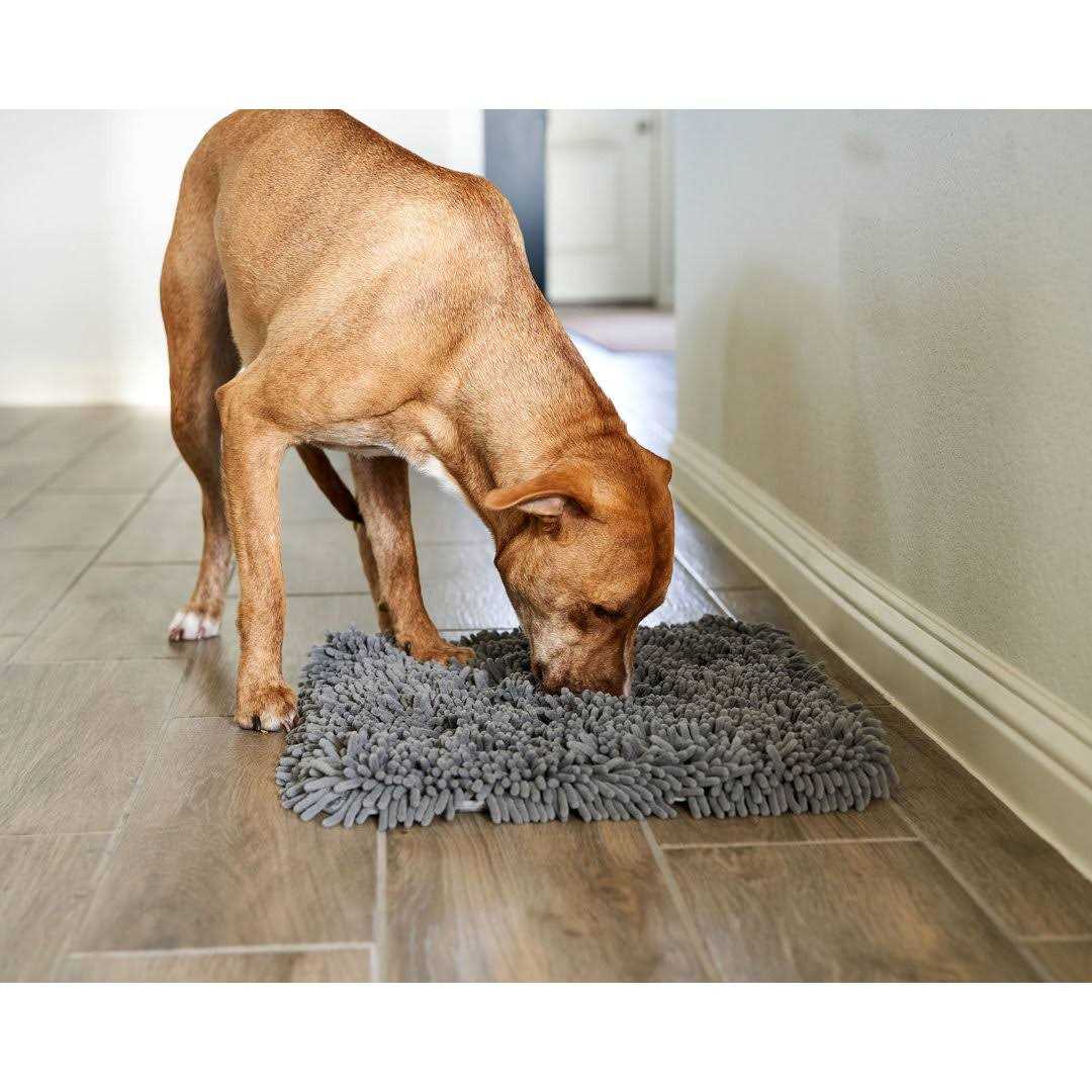 Pet Parents Forager Slow Feeder Cat & Dog Snuffle Mat & Feeding Mat