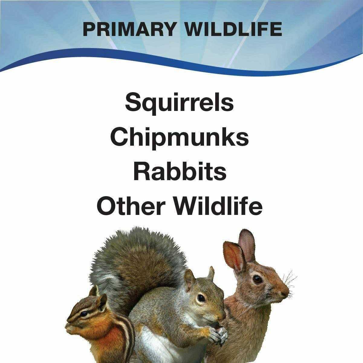3-d Pet Products Premium Squirrel and Wildlife Food