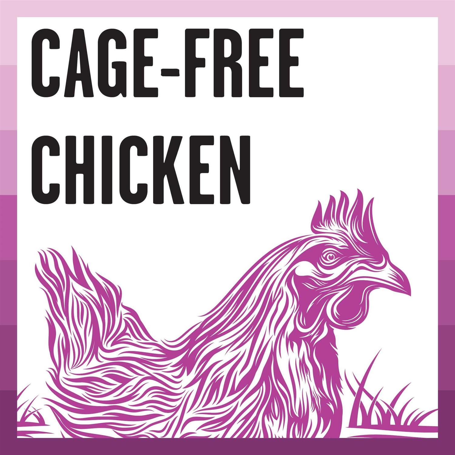 Bixbi Rawbble Chicken Recipe Dry Cat Food