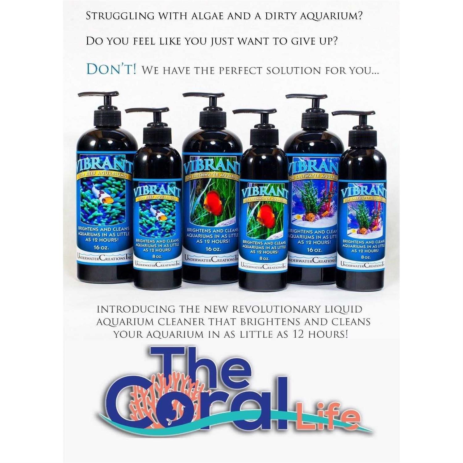 Vibrant For Saltwater Aquariums