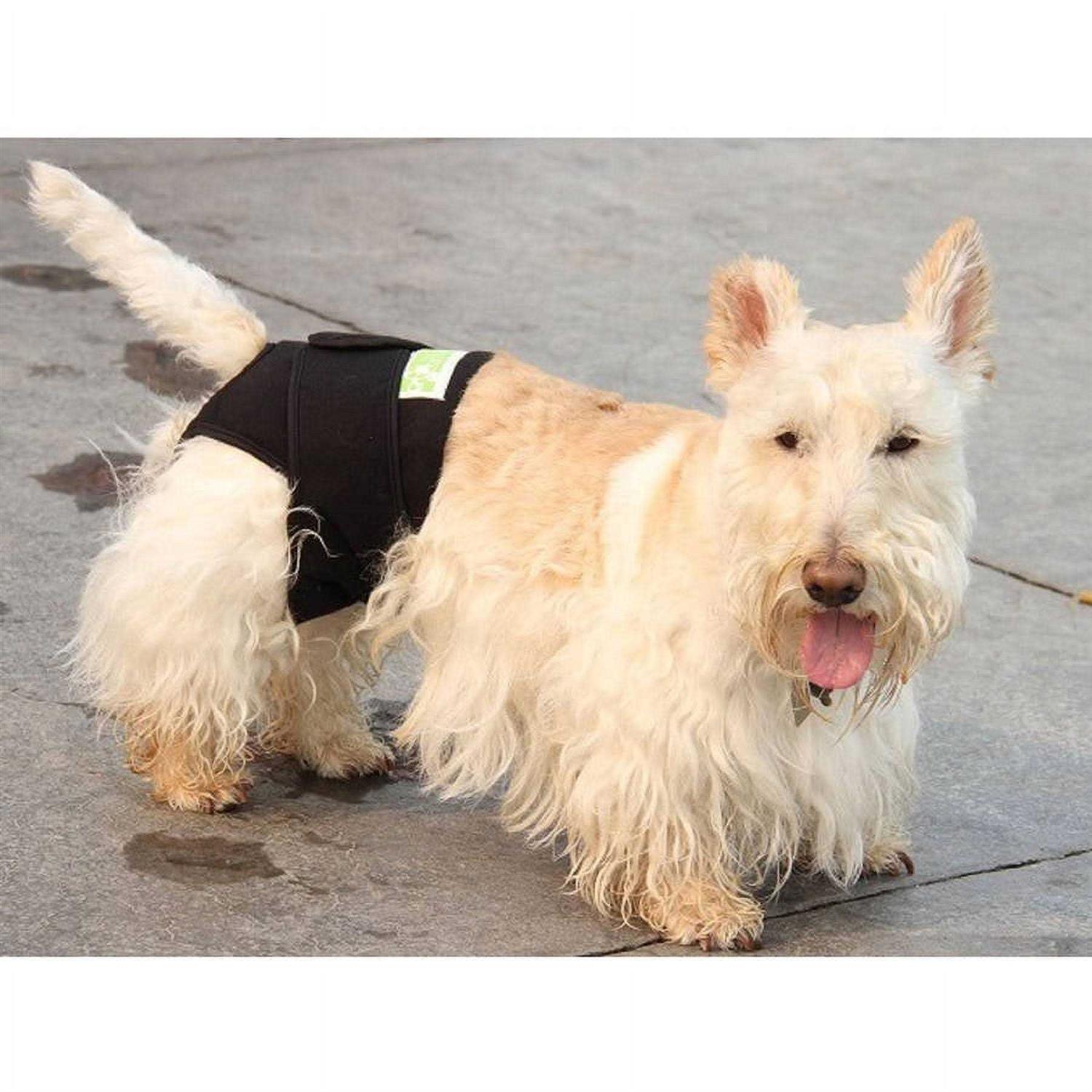 Healers Body Rear Module Dog Wrap
