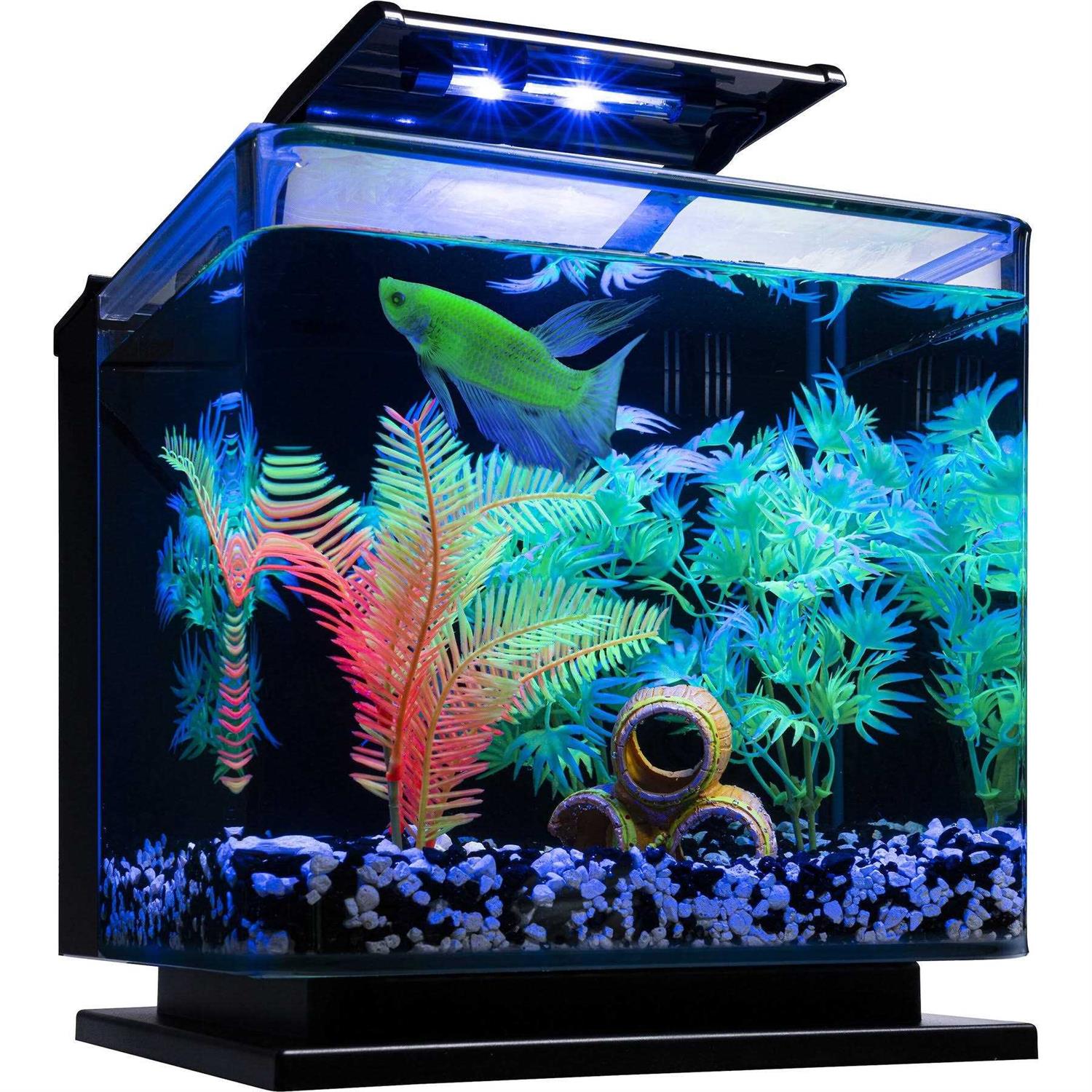 GloFish Betta Fish Aquarium Kit