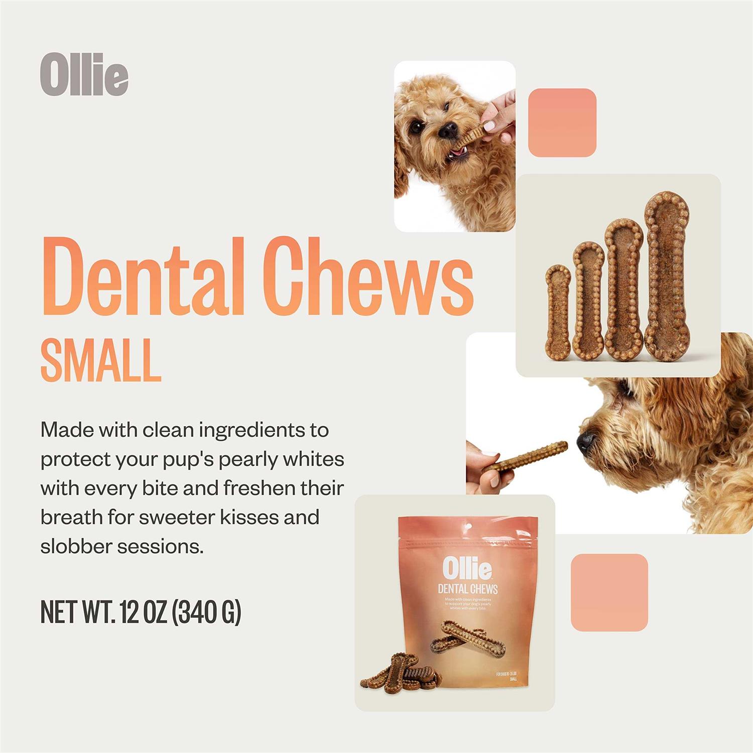 Ollie Dental Chews For Dogs Dog Breath Treats Dog Teeth Cleaning Treat