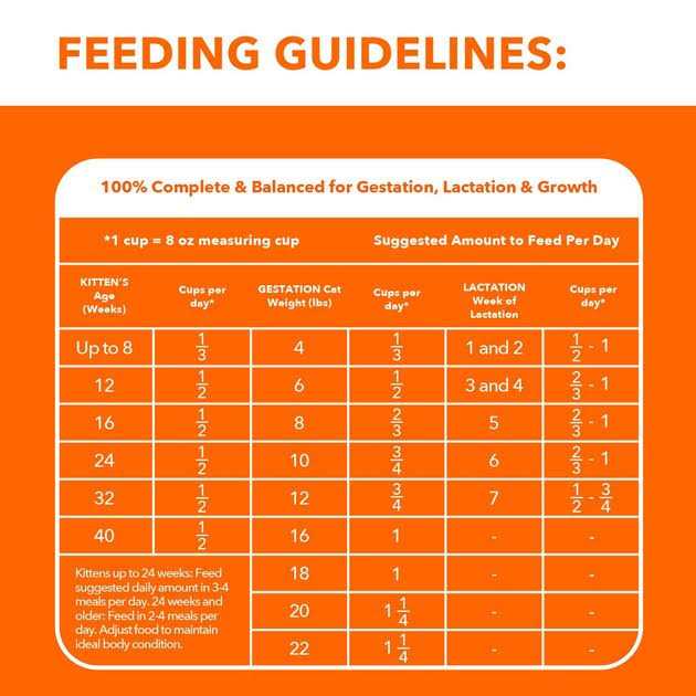 Iams ProActive Health Dry Kitten Food