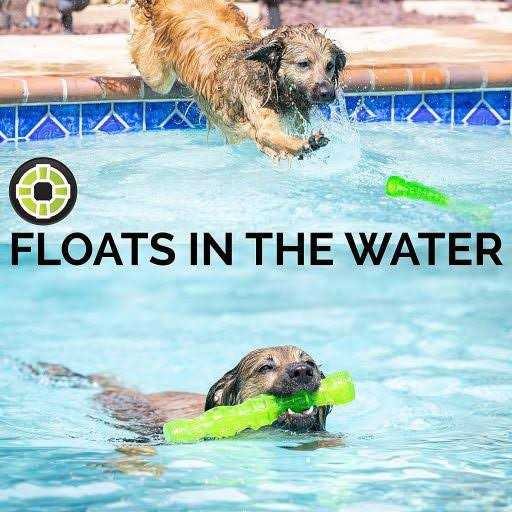 Hyper Pet Dura-Squeaks Dog Toy Stick