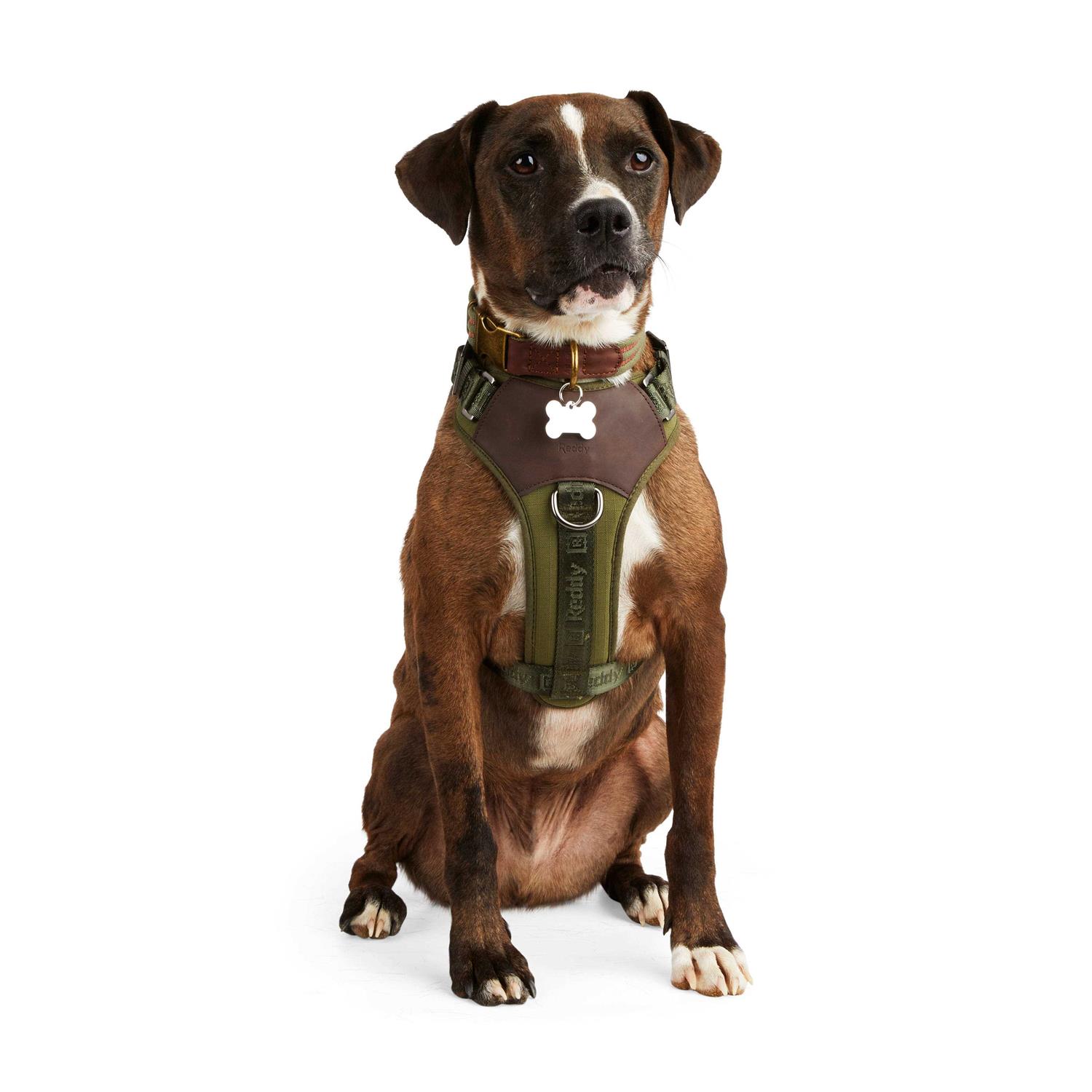 Reddy Dog Harness Jacquard