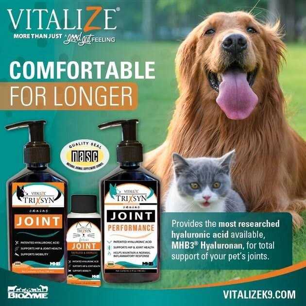 Vitalize Trixsyn Canine Joint Supplement