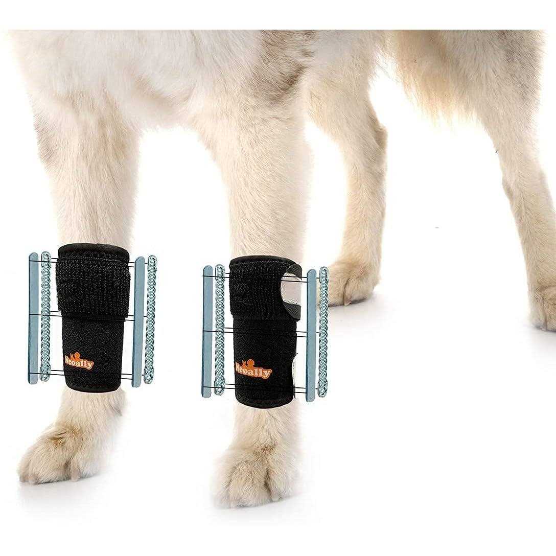 NeoAlly 3-in-1 Dog Splint Front Leg Support, Front Leg Brace with Rigid and Spring Inserts