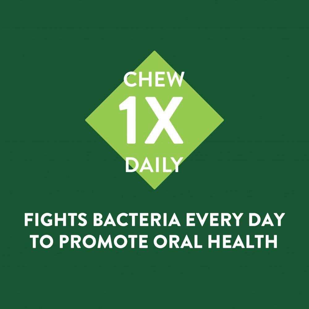 Whimzees Brushzees Dental Treats