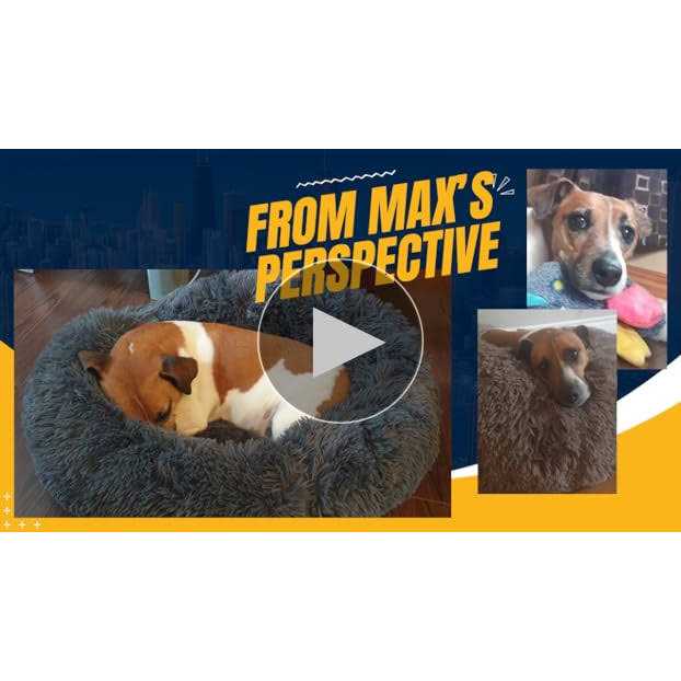 BODISEINT Modern Soft Plush Round Pet Bed for Cats or Small Dogs Mini Medium Sized Dog Cat Bed Self Warming Autumn Winter Indoor