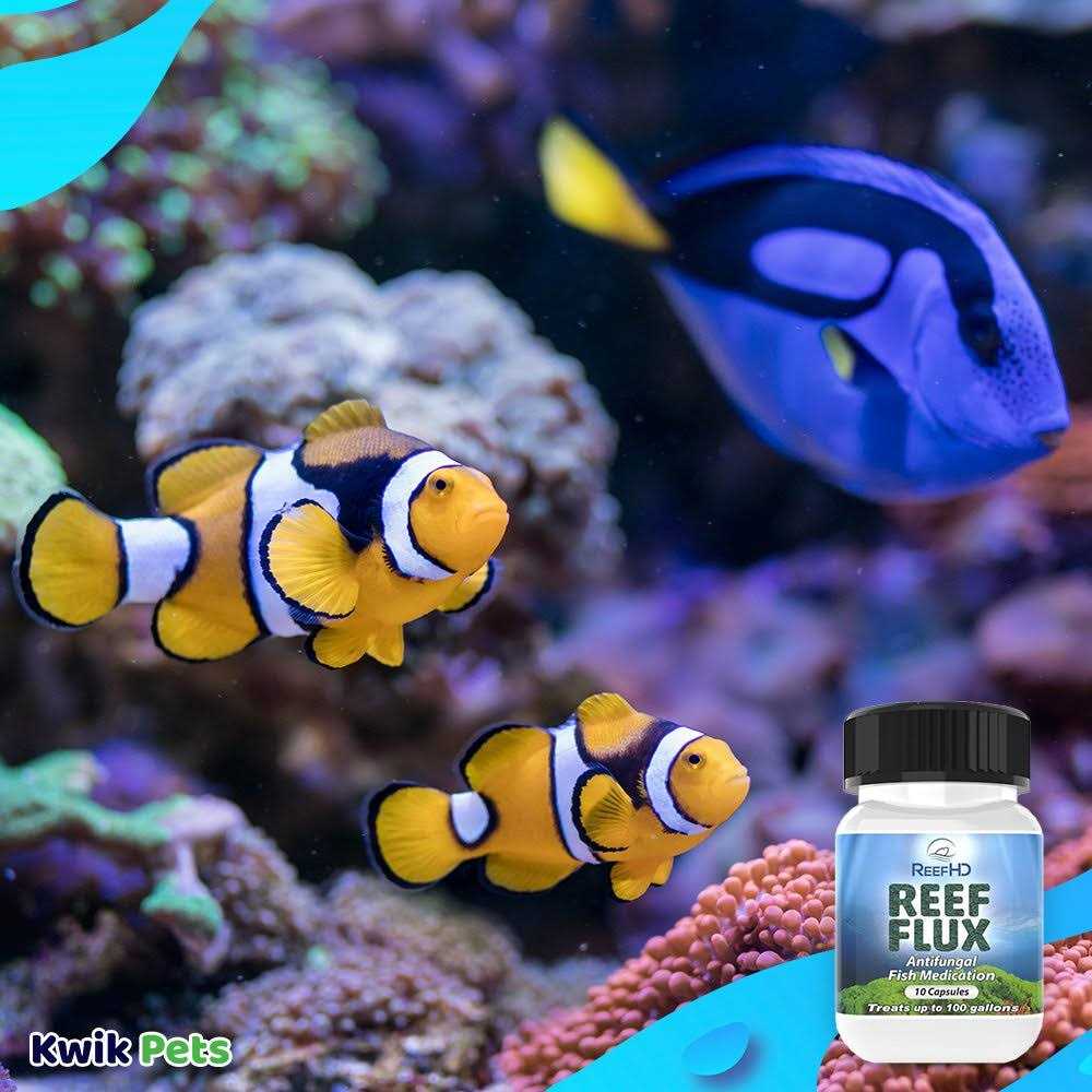 ReefHD Reef Flux Anti-Fungal Treatment