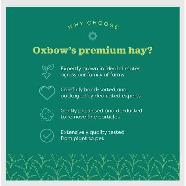 Oxbow Hay Blends Western Timothy & Orchard
