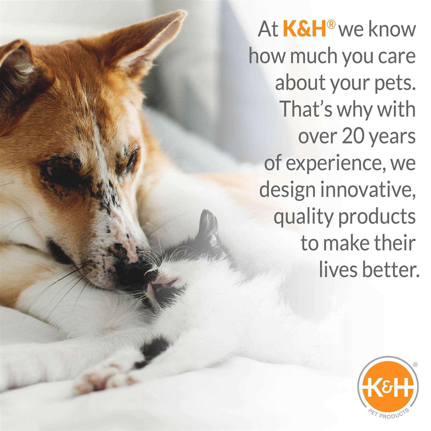 K H Pet Travel Safety Carrier