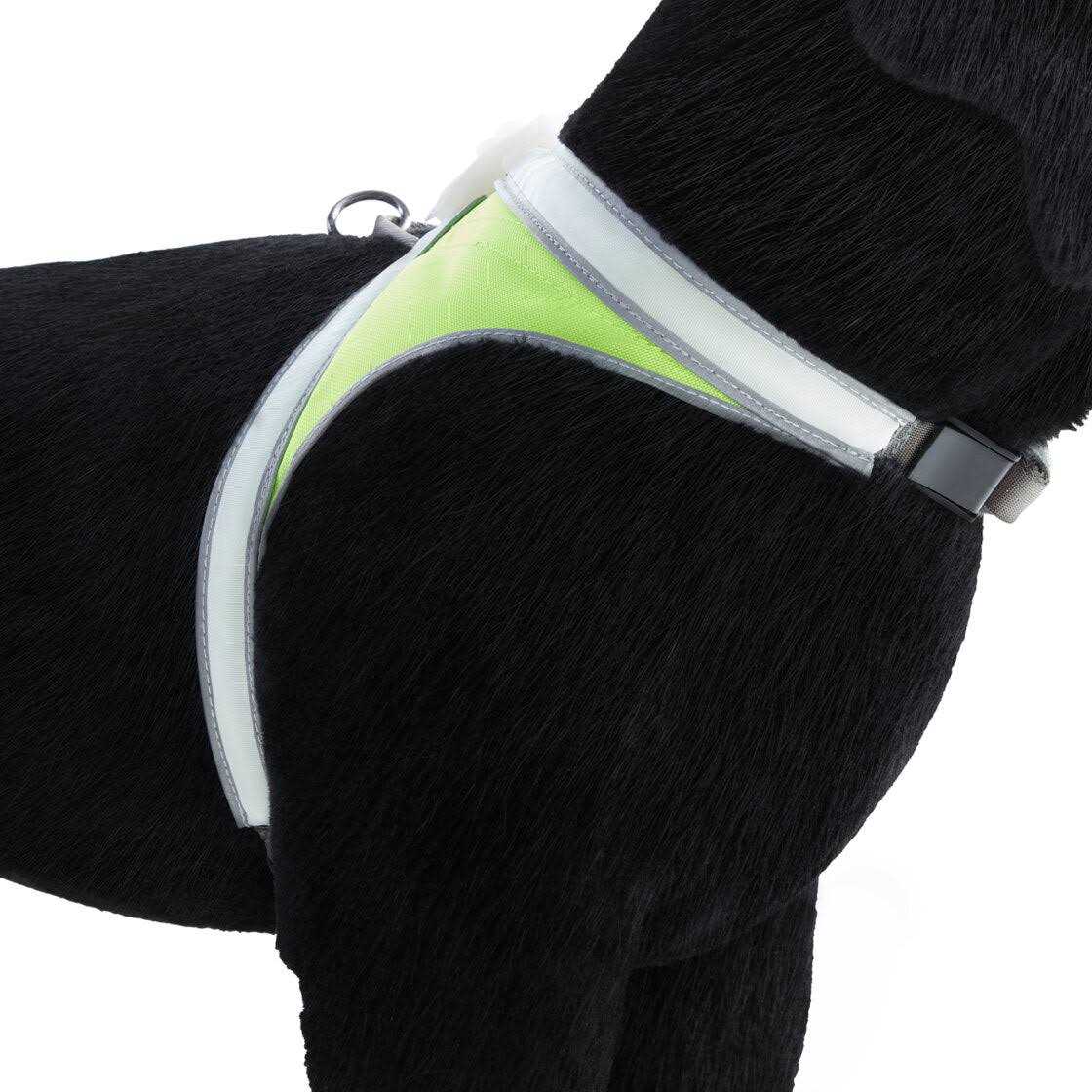 Noxgear LightHound LED Illuminated & Reflective Dog Harness