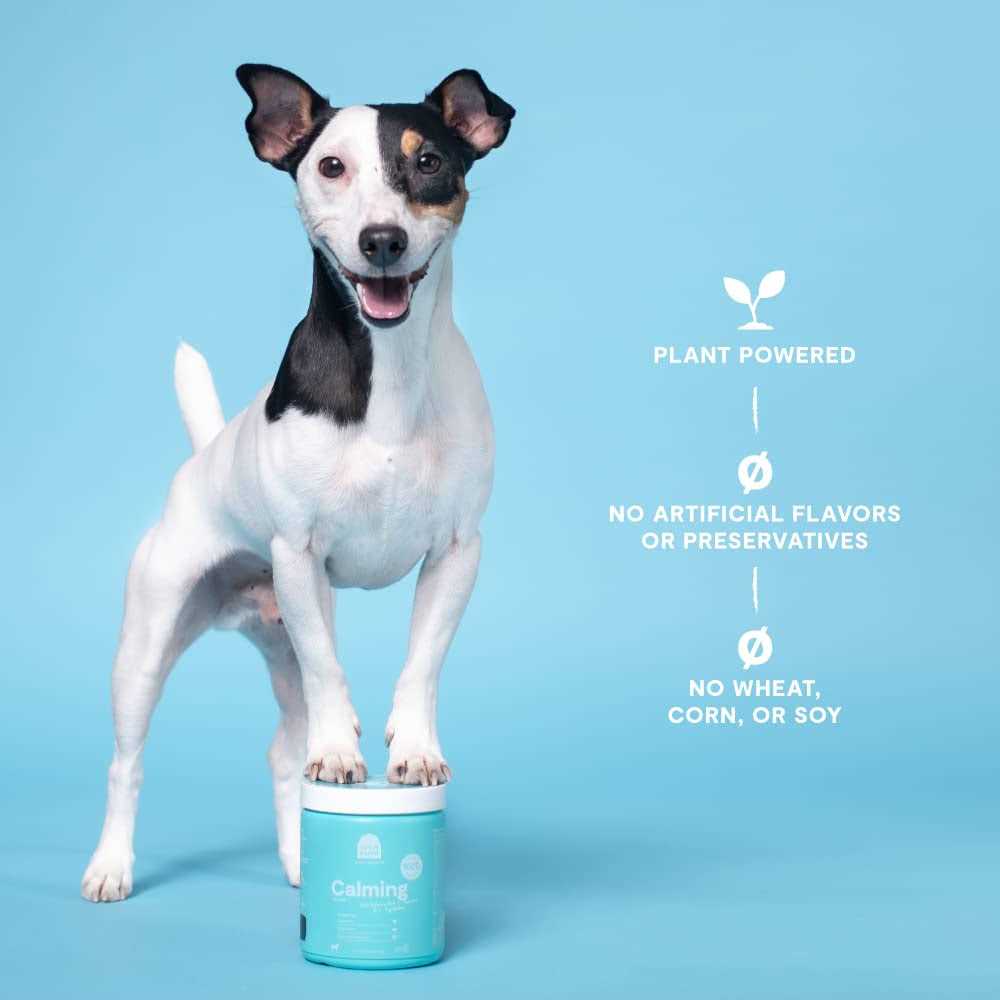 Open Farm Calming Chews Dog Supplement