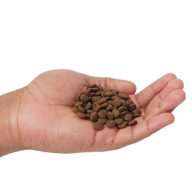 Farmina N&D Ancestral Grain Lamb & Blueberry Adult Dry Cat Food