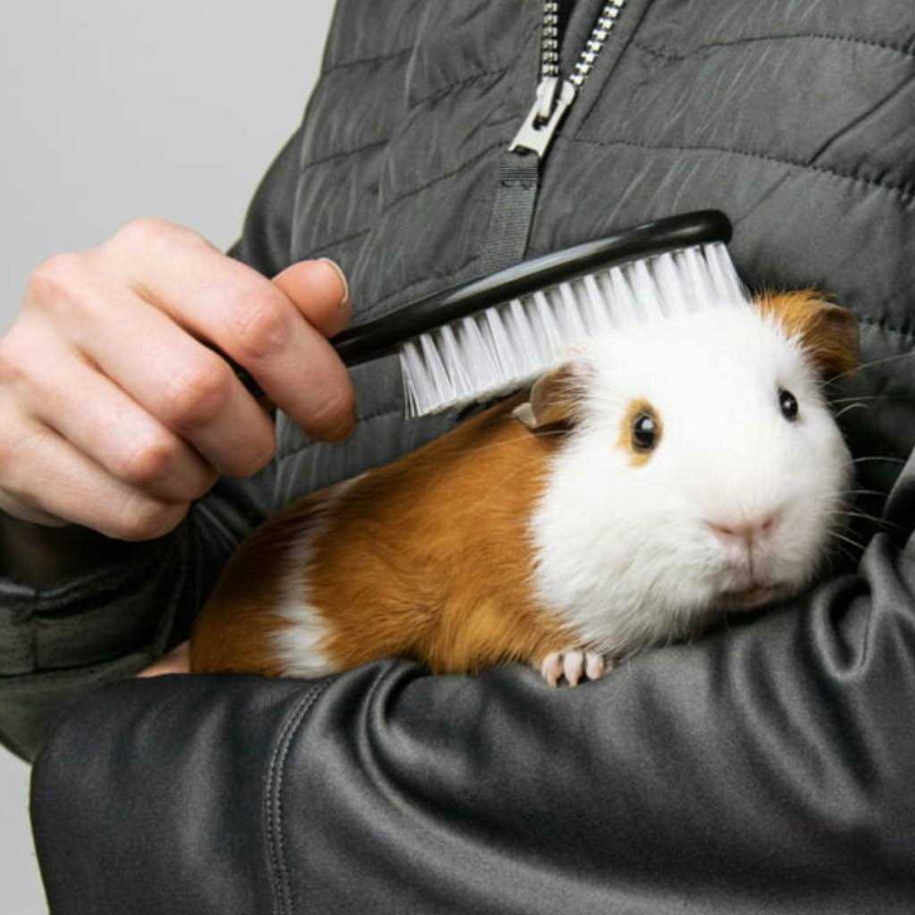Pet Champion Small Animals’ Grooming Kit