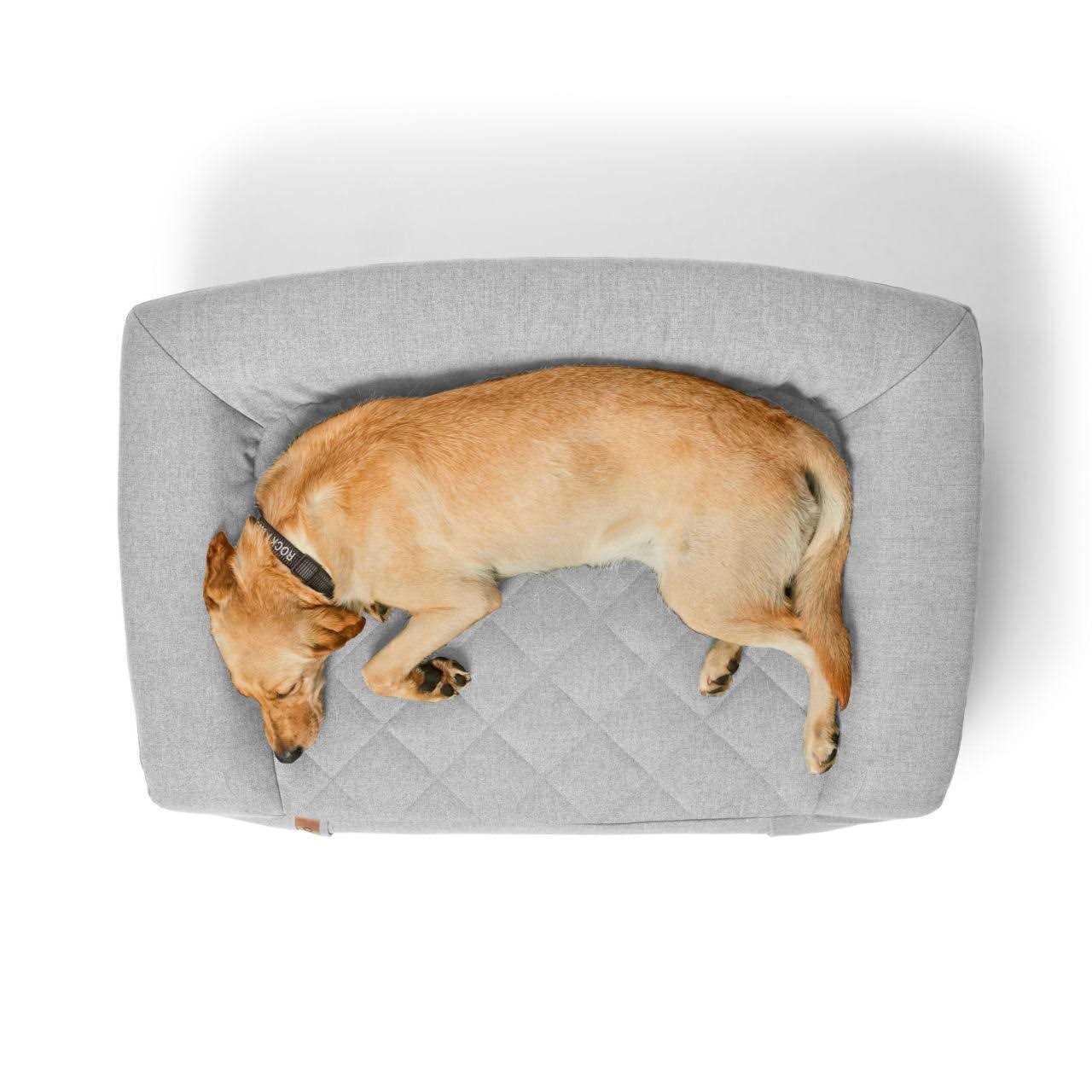 Orvis RecoveryZone Couch