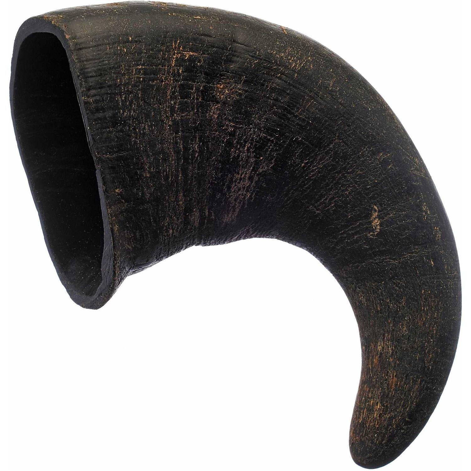 Bones & Chews Water Buffalo Horn Dog Treat