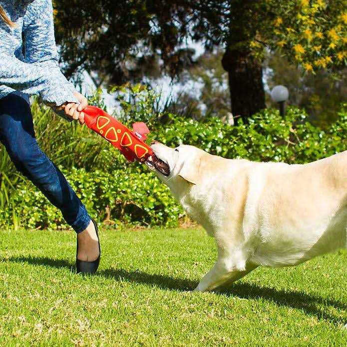 Outward Hound Fire Biterz Dog Toy Lizard