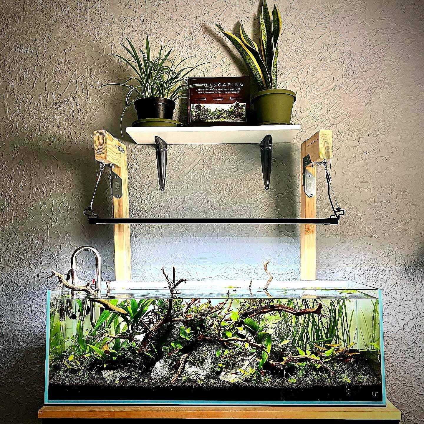 UNS Ultra Clear Rimless Aquarium