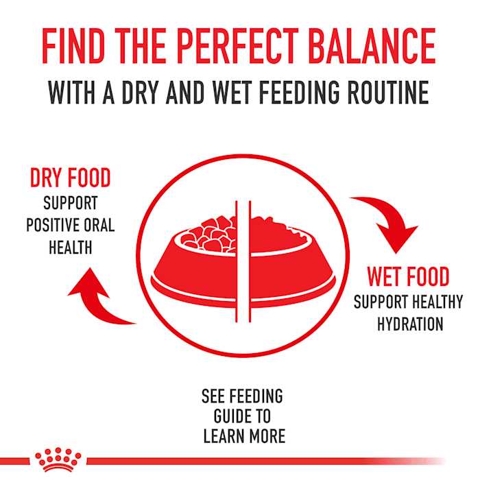 Royal Canin Veterinary Diet Feline Glycobalance Thin Slices in Gravy Canned Cat Food