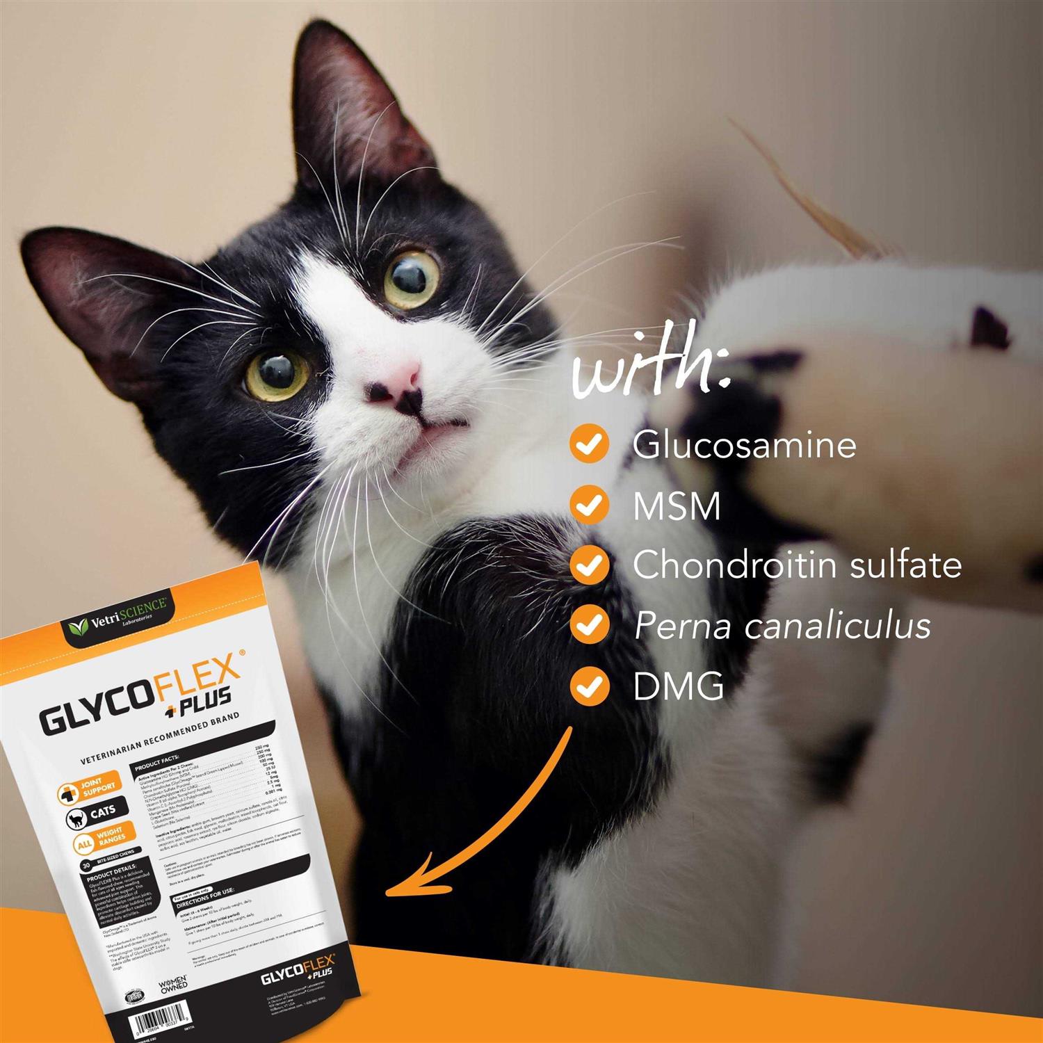VetriScience GlycoFlex Plus Hip & Joint Support for Cats