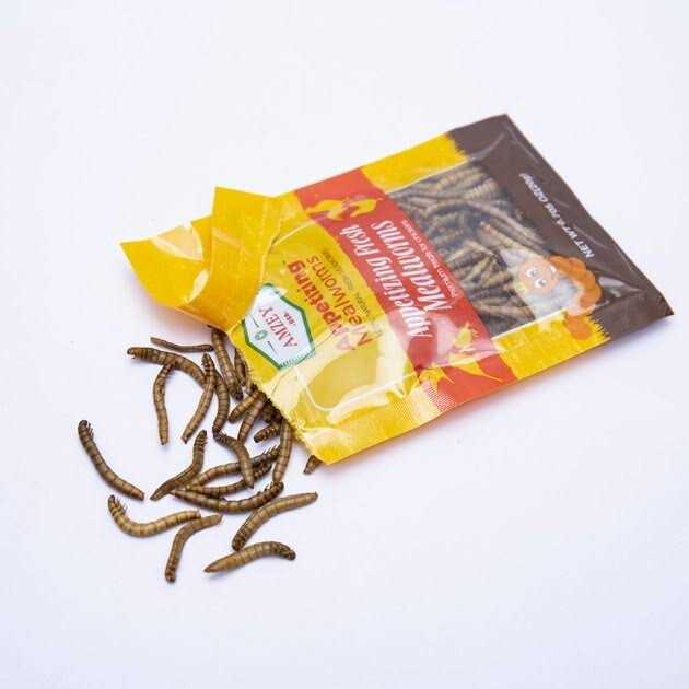 Amzey Appetizing Fresh Mealworms Treats