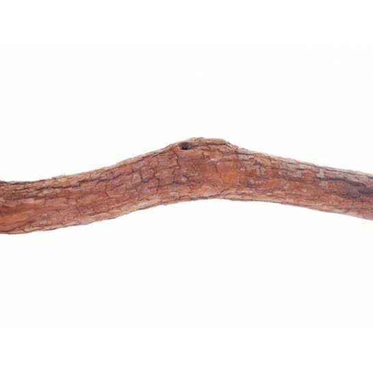 Polly’s Full Length Hardwood Bird Perch