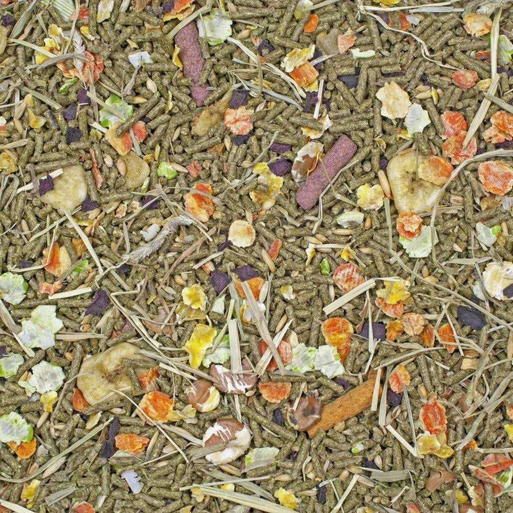 Higgins Sunburst Gourmet Guinea Pig Food