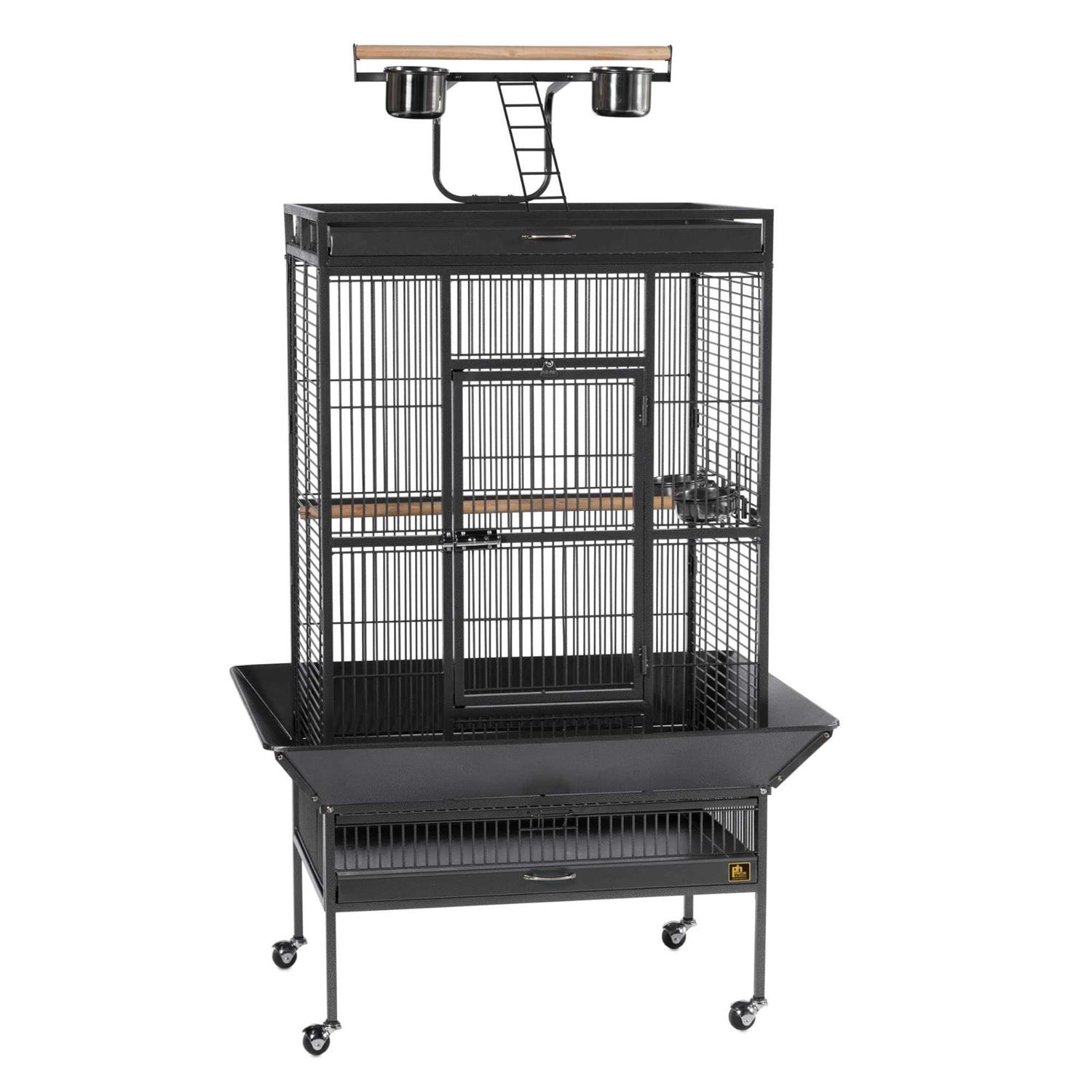 Prevue Select Wrought Iron Bird Cage