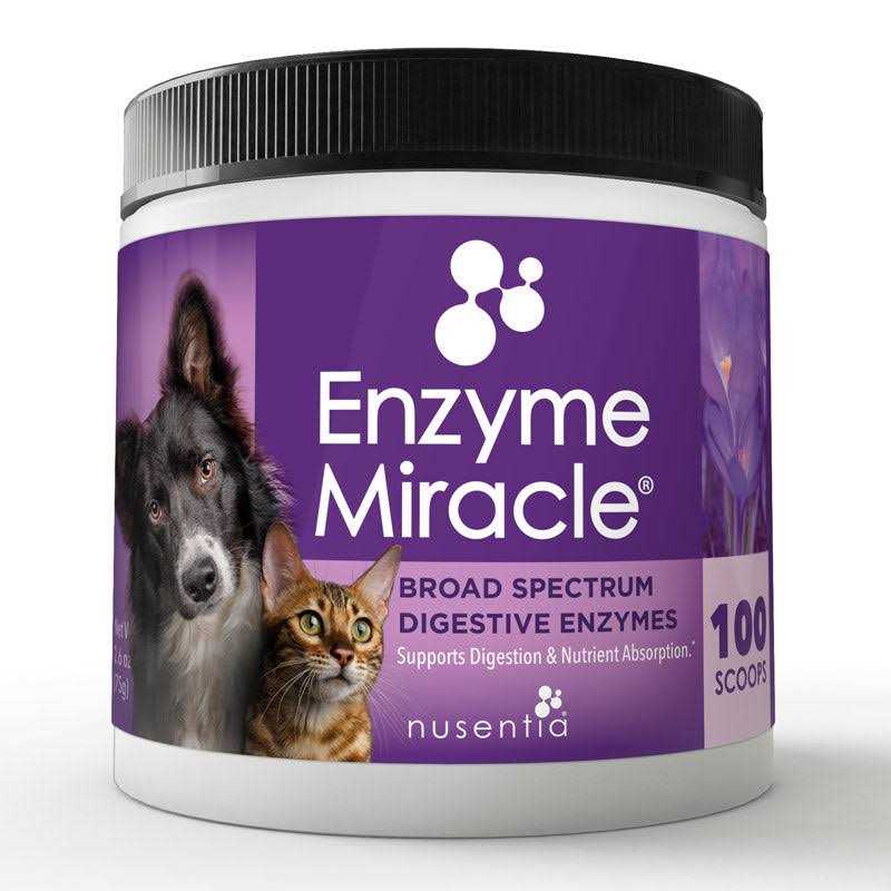 Enzyme Miracle Digestive