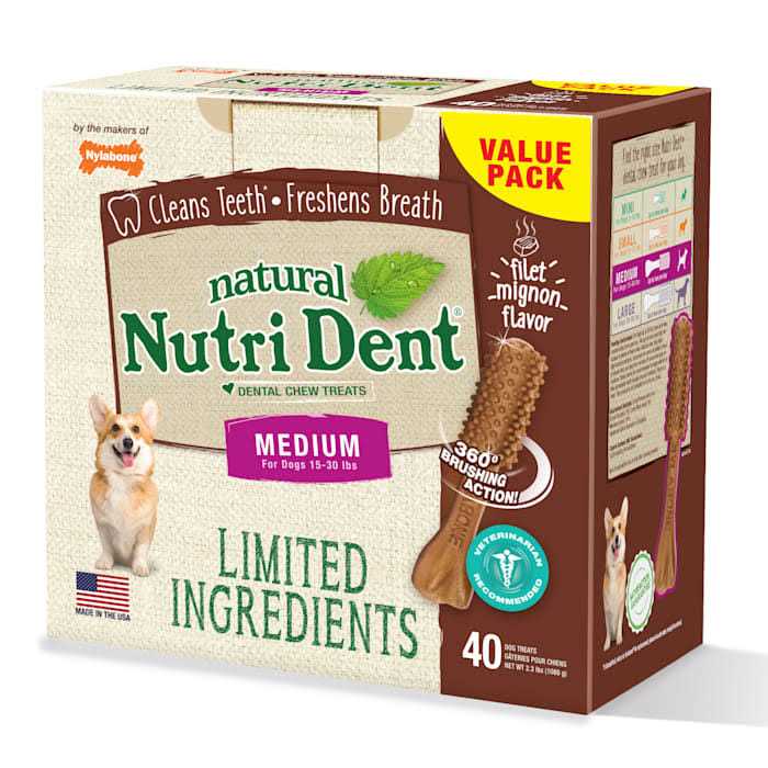 Nylabone Nutri Dent Dental Chews Filet Mignon