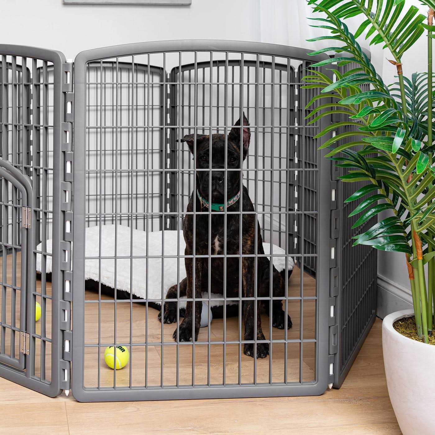 Iris Exercise 8-Panel Pet Playpen with Door