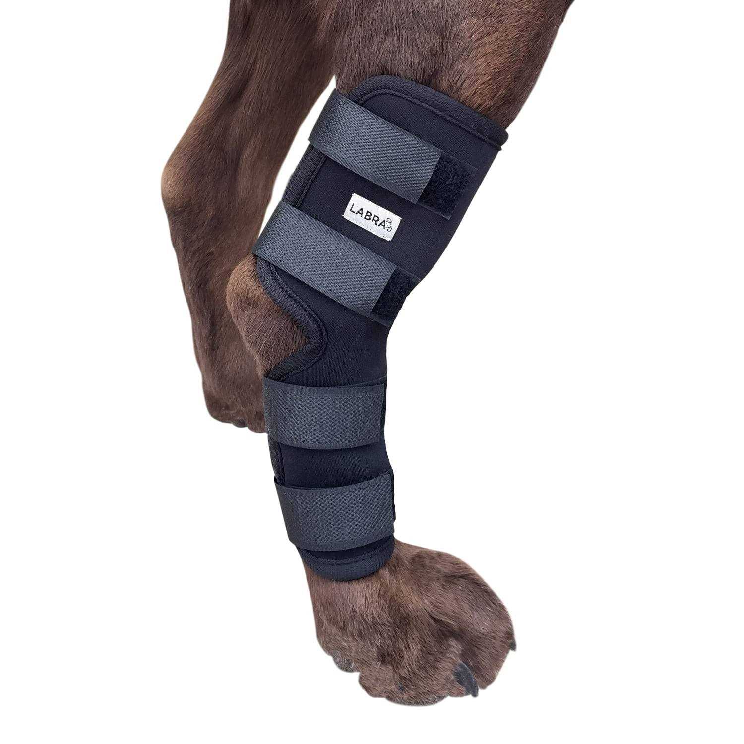 Labra Dog Extra Supportive Canine Rear Leg Hock Joint Compression Wrap and and