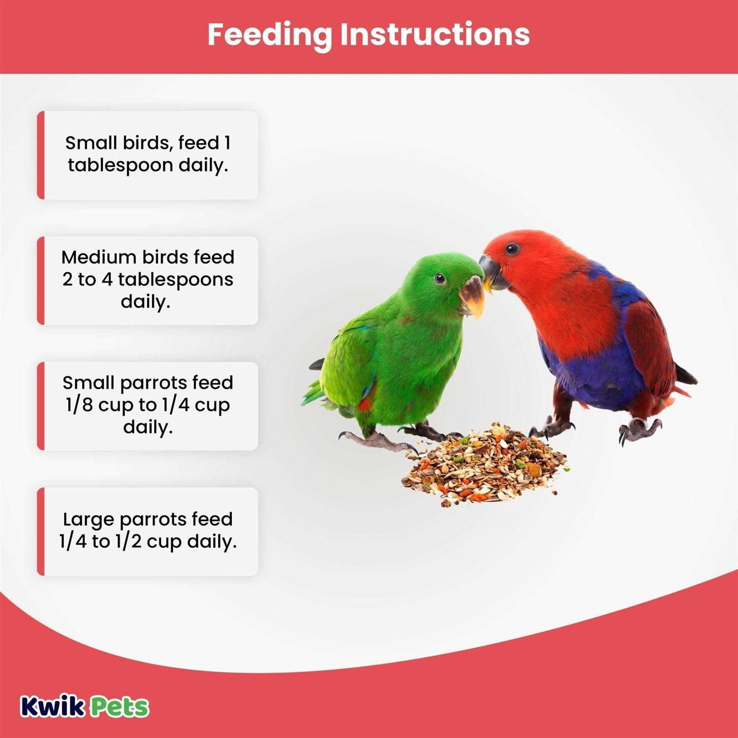 Volkman Avian Science Super Eclectus-4lb