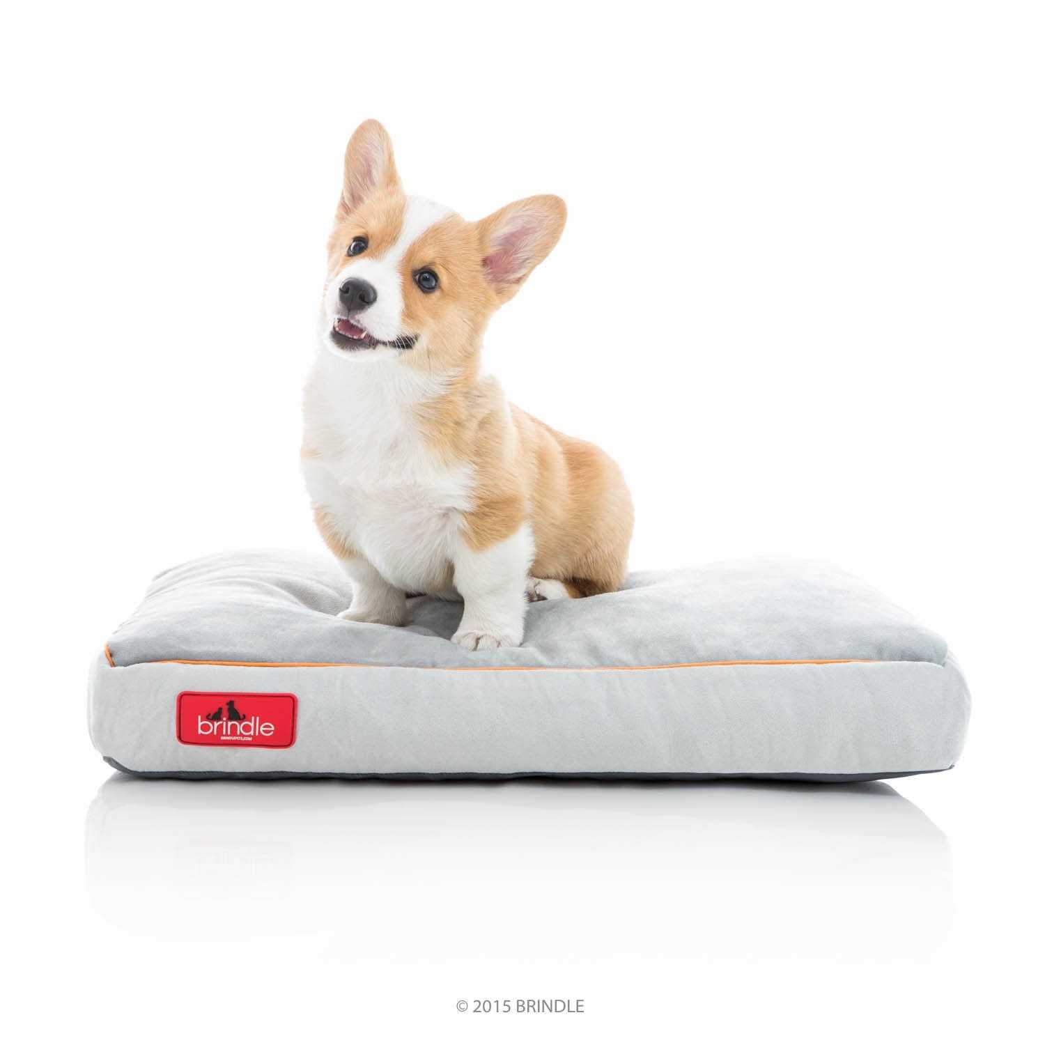 Brindle Soft Memory Foam Dog Bed with Removable Washable Cover