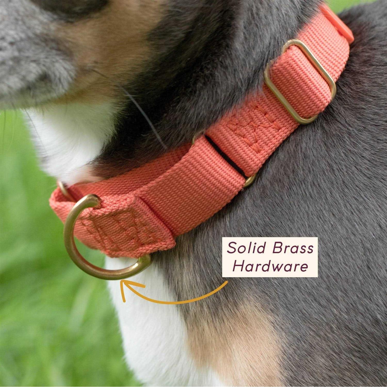 Awoo Marty Martingale Dog Collar