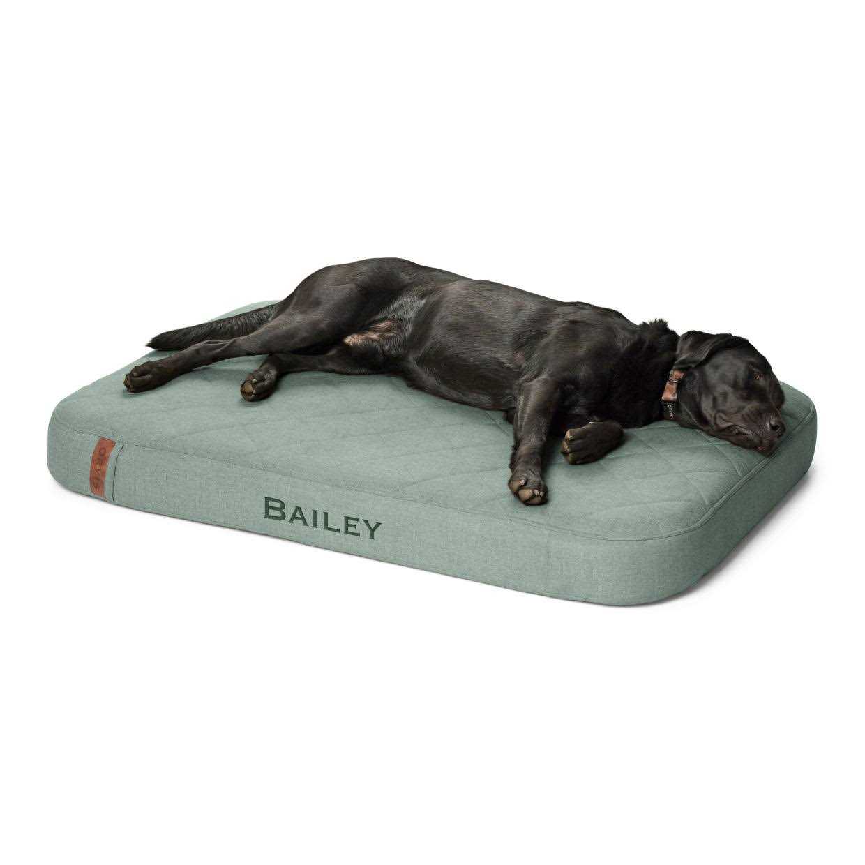 Orvis RecoveryZone Lounger Dog Bed
