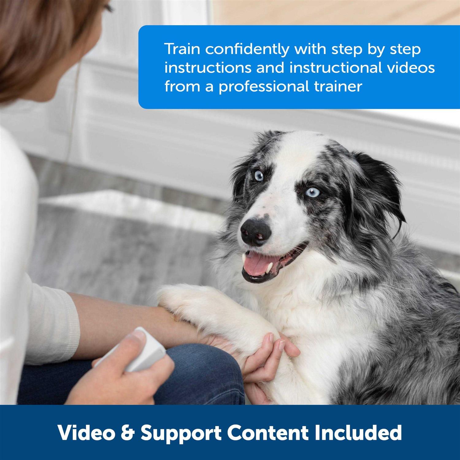 PetSafe Teach & Treat Remote Reward Trainer