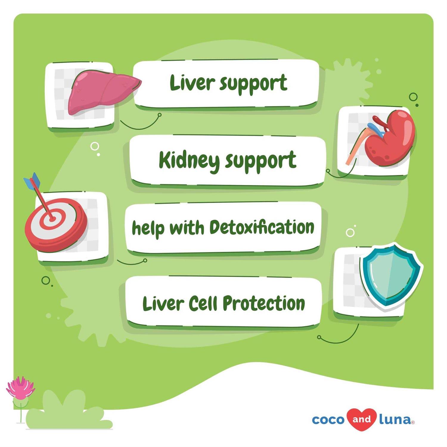 Coco and Luna Milk Thistle for Dogs 90 Soft Chews Liver and Kidney Support for Dogs