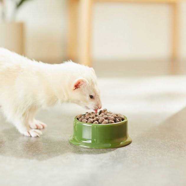 Mazuri Ferret Diet